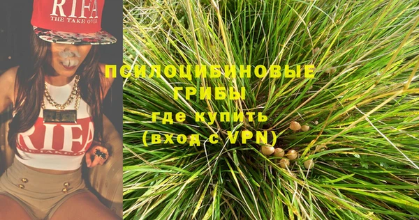 стафф Алексин