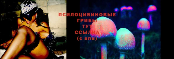стафф Алексин
