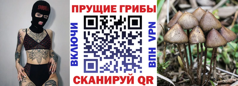 Псилоцибиновые грибы MAGIC MUSHROOMS  Пермь 